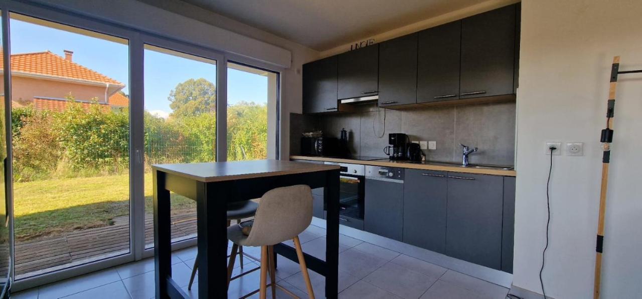 Le Paisible Appartement Douvaine Buitenkant foto